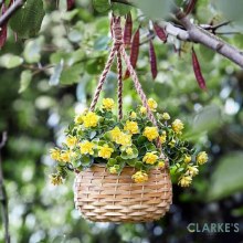 Florets - Hanging Basket Bouquet Yellow