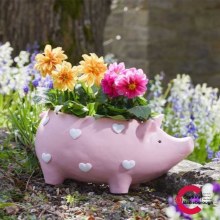 Piggy Flower Planter