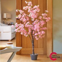 Pink Cherry Tree 140cm