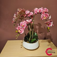 Potted Orchid Artificial Potted Orchid Artificial