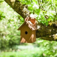 Premier Nest Box