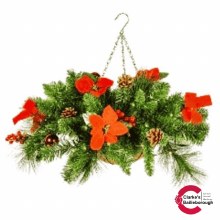 Red Poinsettia Hanging Basket with Lights 50cm