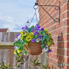 Regal Hanging Basket - Pansy Pourri