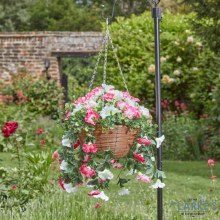 Regal Hanging Basket - Summer Bloom