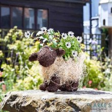 Shelly Sheep - Decorative Rattan Planter