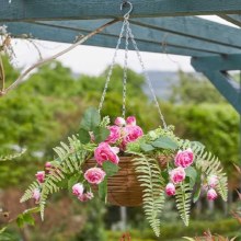 Pink Perfection - Garden Hanging Basket Decoration