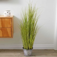 Zebra Grass - Faux Indoor Plant