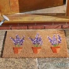 Lavenders - Outdoor Decoir Door Mat 75 x 45cm