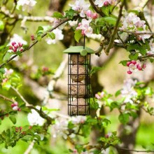 Twist Top Suet Ball Feeder 20cm