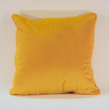 Velvet Saffron Piped Cushion