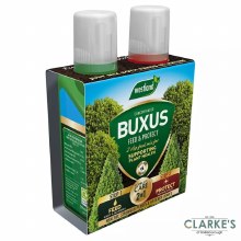 Westland Buxus 2 in 1 Feed and Protect