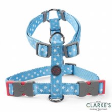 Walk About Starry Blue Dog Harness Large