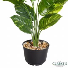 Additional picture of Leopard Lily - Faux Indoor Plant 70cm