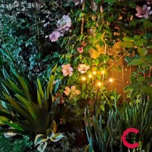Additional picture of Solar 6 Light Stake Light Warm White