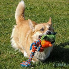 Additional picture of Dura-Tugga Monkey Dog Toy