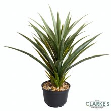 Additional picture of Spiky Sisal - Faux Indoor Plant 62cm