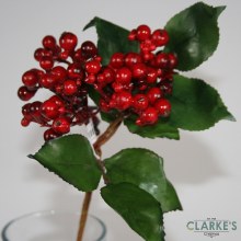 Additional picture of Berry Cluster Red