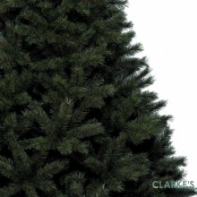 Additional picture of Canada Spruce Christmas Tree 8ft
