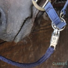 Additional picture of Connex Panic Hook with Eye 100 mm