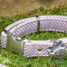 Additional picture of Country Blush Walkabout Dog Collar XS