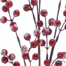 Additional picture of Frosted Red Berry Spray - Christmas Decoration 56cm