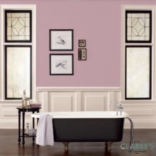 Additional picture of Fleetwood Lip Gloss Colour Washable Matt 2.5 Litre