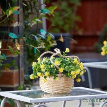 Additional picture of Florets - Hanging Basket Bouquet Yellow