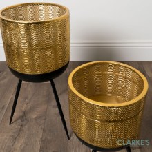 Additional picture of Iris Planters Gold