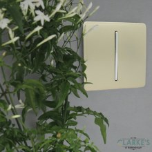 Additional picture of Trendi Switch 1 Gang Gloss Gold Rocker Switch