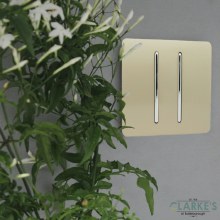 Additional picture of Trendi Switch 2 Gang Gloss Gold Rocker Switch