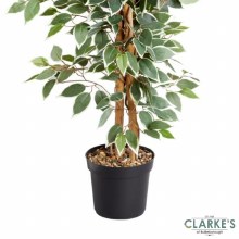 Additional picture of Weping Fig - Faux Indoor Plant 130cm