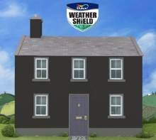 Additional picture of Dulux Weather Shield Black 10Ltr