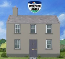 Additional picture of Dulux Weather Shield Goosewing 10Ltr