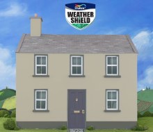 Additional picture of Dulux Weather Shield Portland 5Ltr