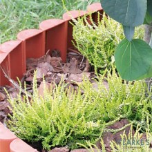 Additional picture of PalGarden Garden Edging Brown 2.5 Meter