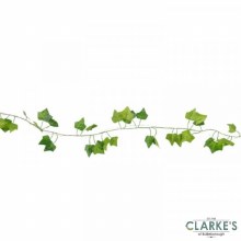 Additional picture of Ivy Solar String Light 4.9 Meter