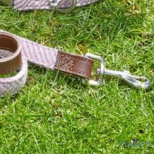 Additional picture of Country Blush Walkabout Dog Lead S