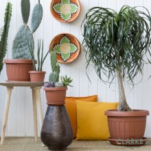 Additional picture of Vaso Round Planter Pot Mustard 35cm