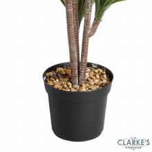 Additional picture of Dragon Tree - Faux Indoor Plant 105cm