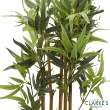 Additional picture of Bamboo - Faux Indoor Plant