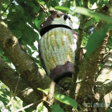 Additional picture of Defenders Wind Action Owl Decoy