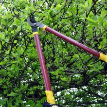 Additional picture of Garden Pro Lopper, Shear and Secateur Set