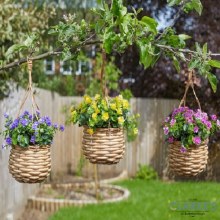Additional picture of Florets - Hanging Basket Bouquet Purple