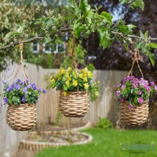 Additional picture of Florets - Hanging Basket Bouquet Yellow