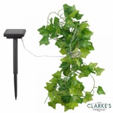 Additional picture of Ivy Solar String Light 4.9 Meter