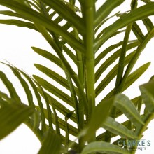 Additional picture of Mini Palm Tree 45cm