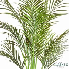 Additional picture of Pheonix Palm - Faux Indoor Plant 124cm