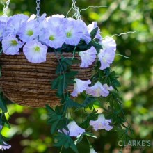 Additional picture of Easy Basket - Spring Bloom Garden Decor