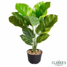 Additional picture of Leopard Lily - Faux Indoor Plant 70cm