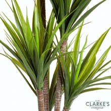 Additional picture of Dragon Tree - Faux Indoor Plant 105cm
